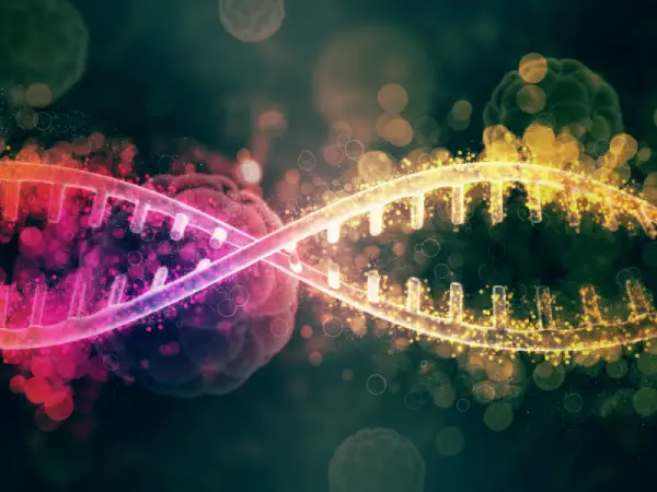 رژیم ژنتیک چیست؟ برنامه غذایی بر اساس DNA
